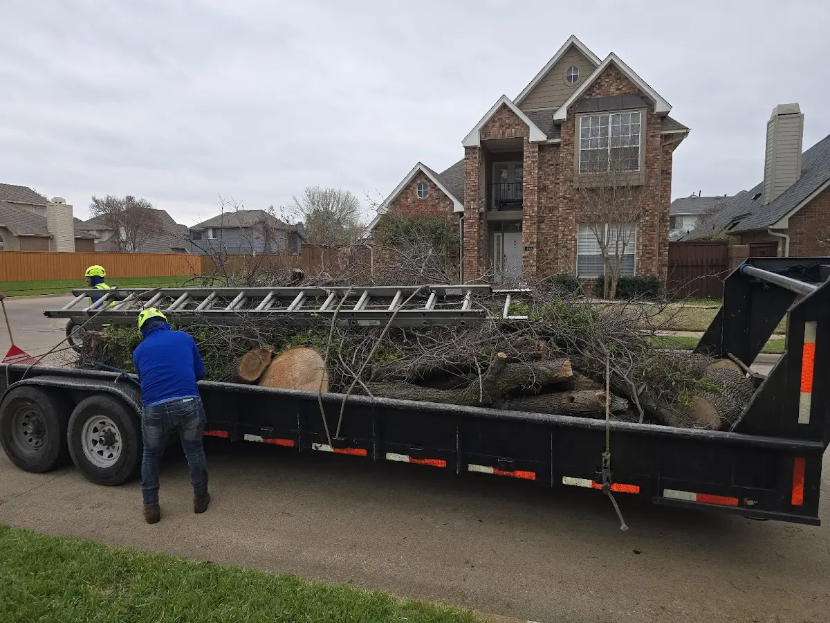 Expert Tree Pest Control with proper safety equipment in Tyrone